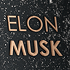 Reinforcing frame Autograph Elon Musk
