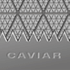 Company's Logo The Iconic