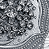 Exclusivity of the SE version Crystal Snowflake SE