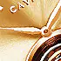 Water Resistance Special Octa edition Autumn festive offer