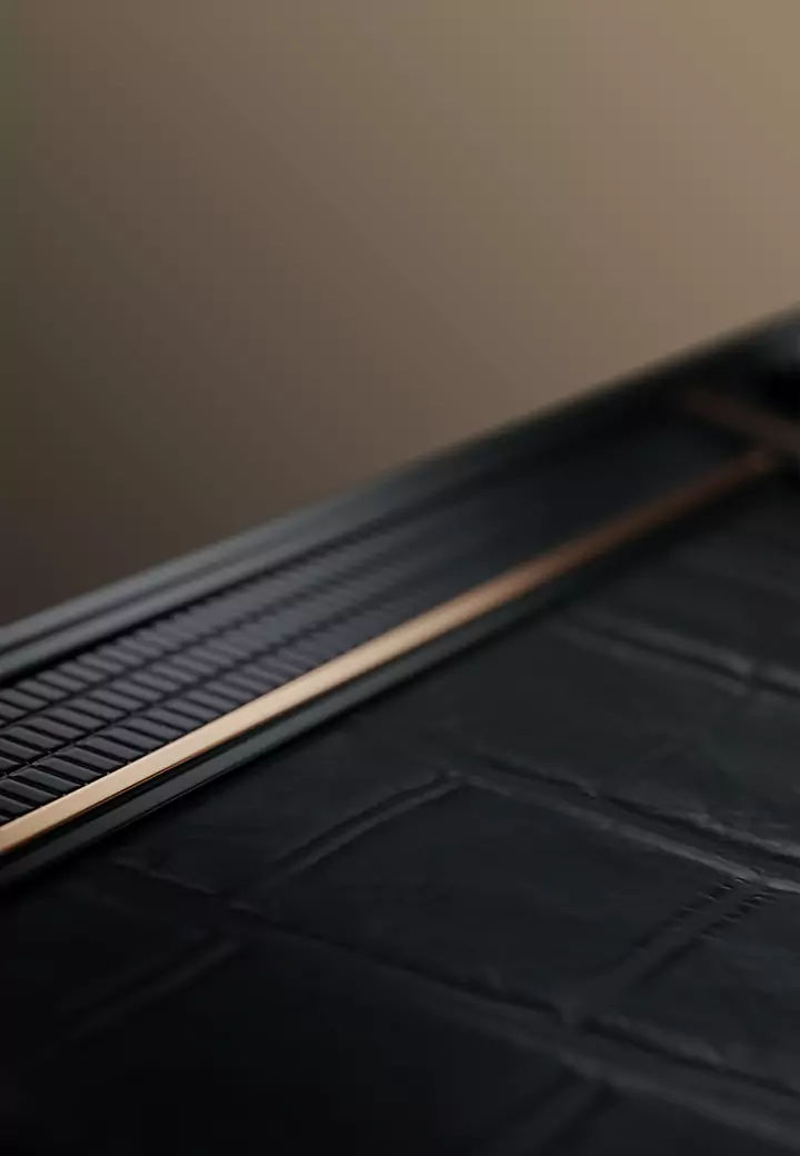 Crocodile leather Contour