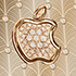 Golden apple Palmette 18K