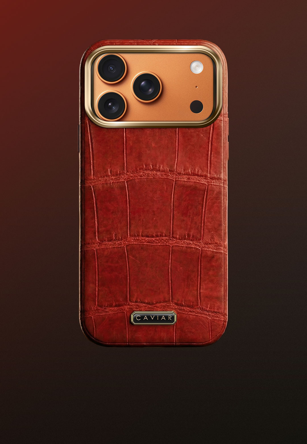 Case with orange body Phoenix