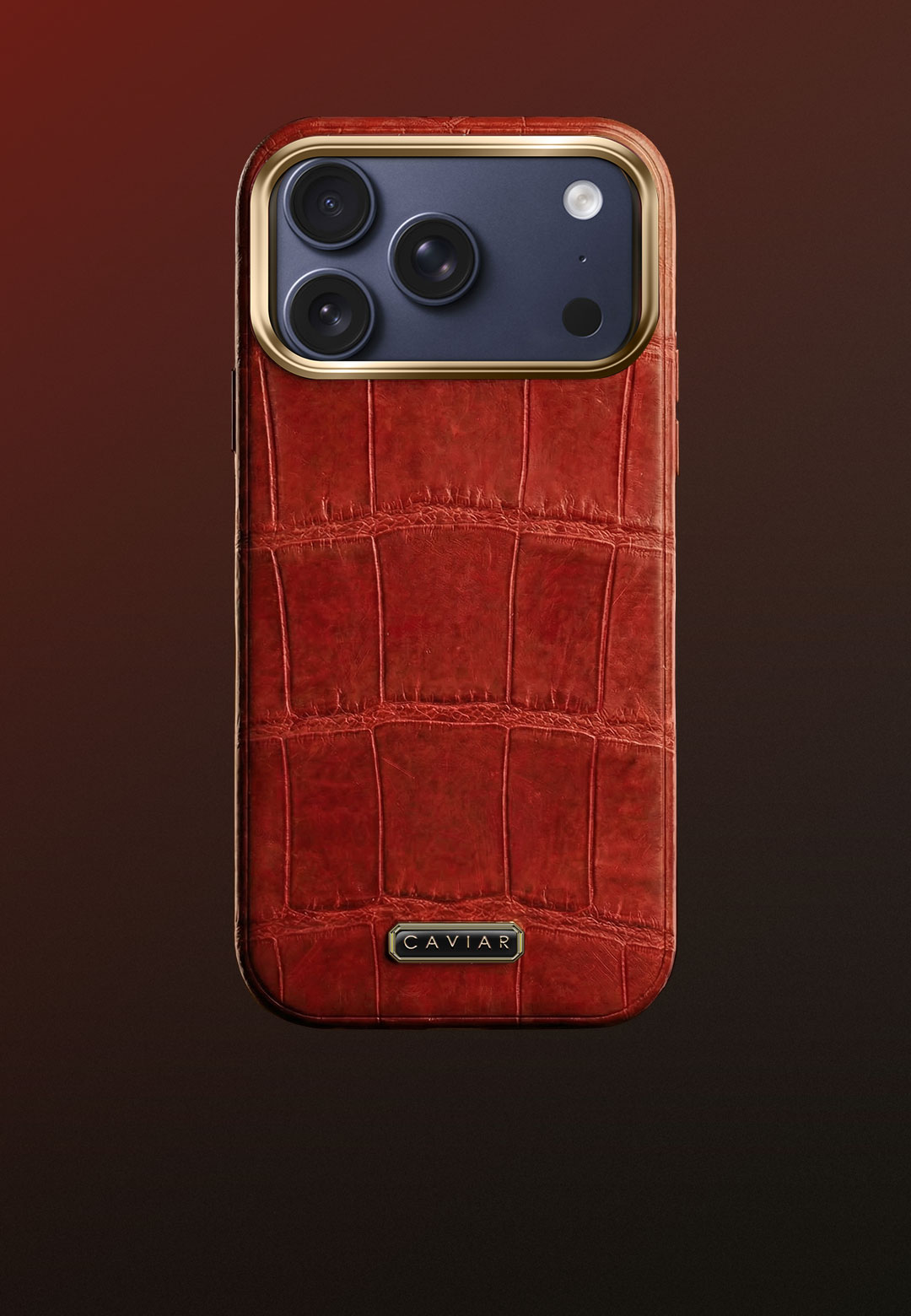 Case with blue body Phoenix