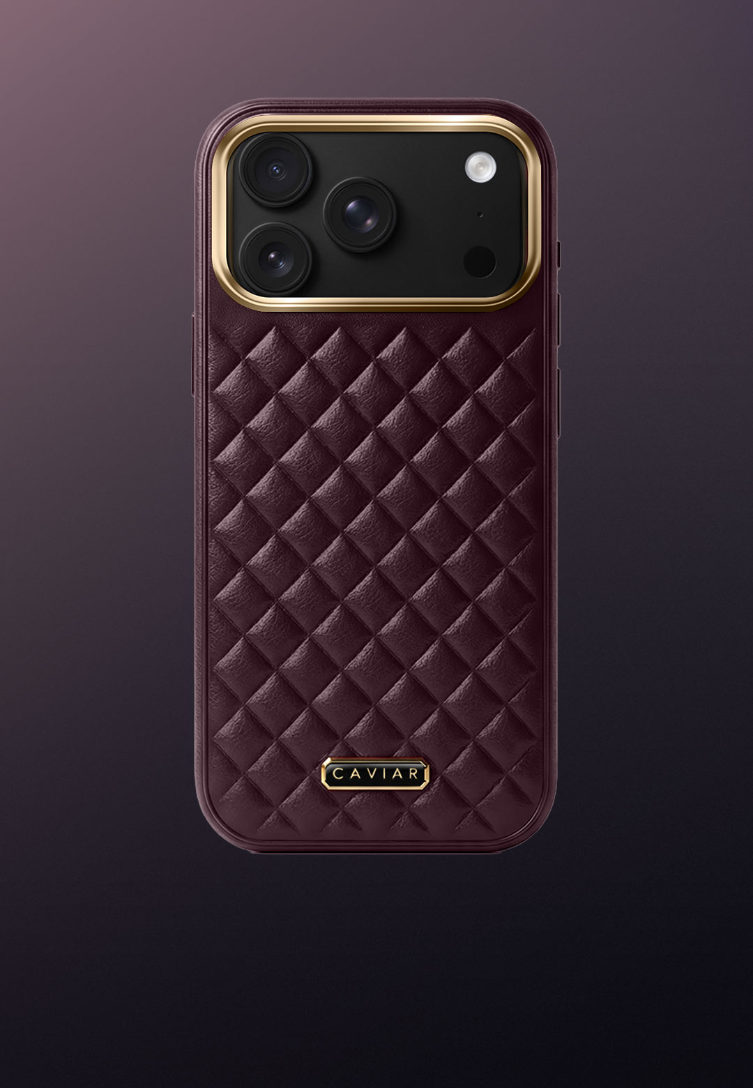 Case with a black body Bordeaux