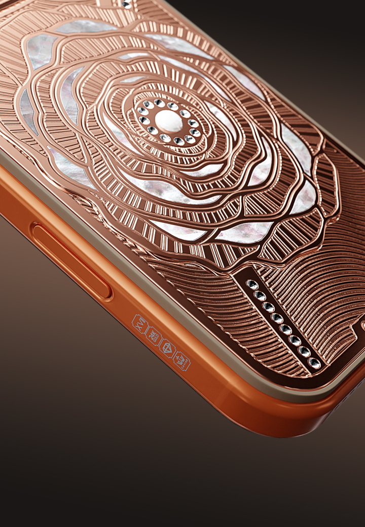 Camellia Flower Fleur de Lumière