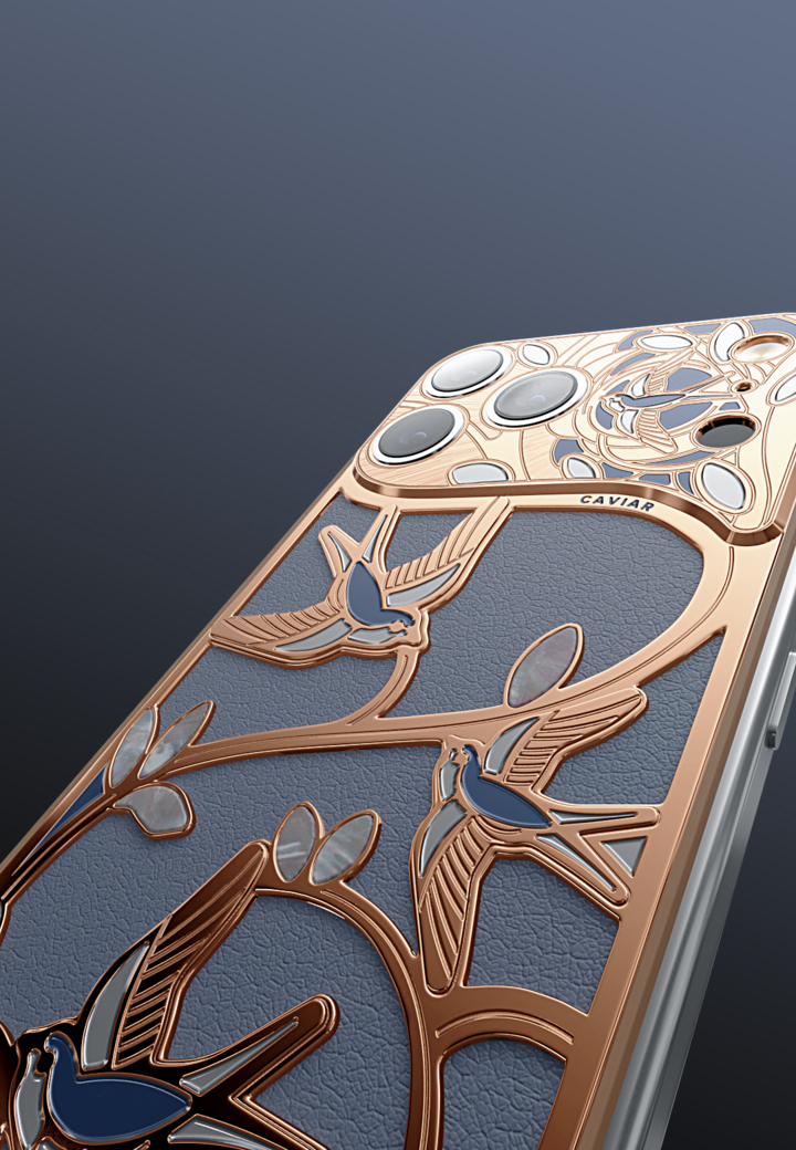 Swallows Wings of Love