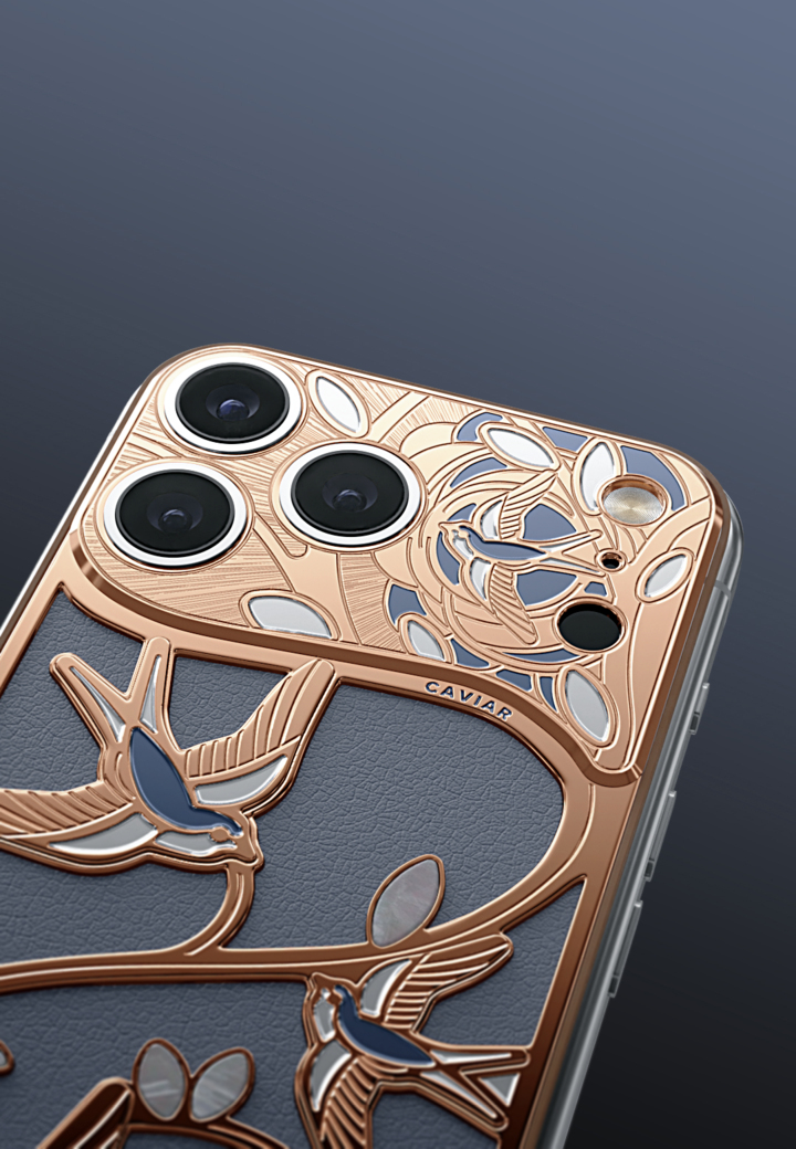 Camera Close-Up Wings of Love