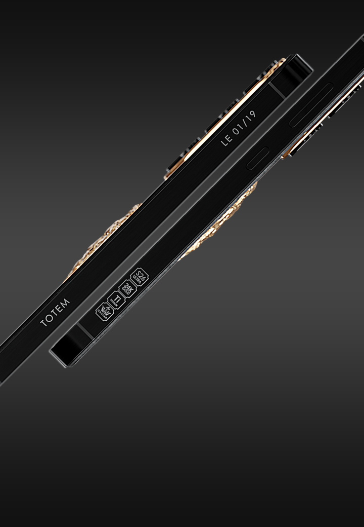 Limited Edition Lion