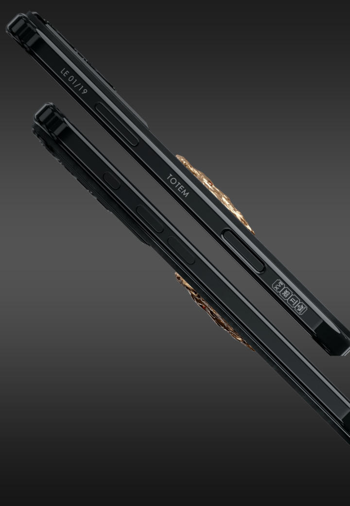 Limited Edition Lion Heart