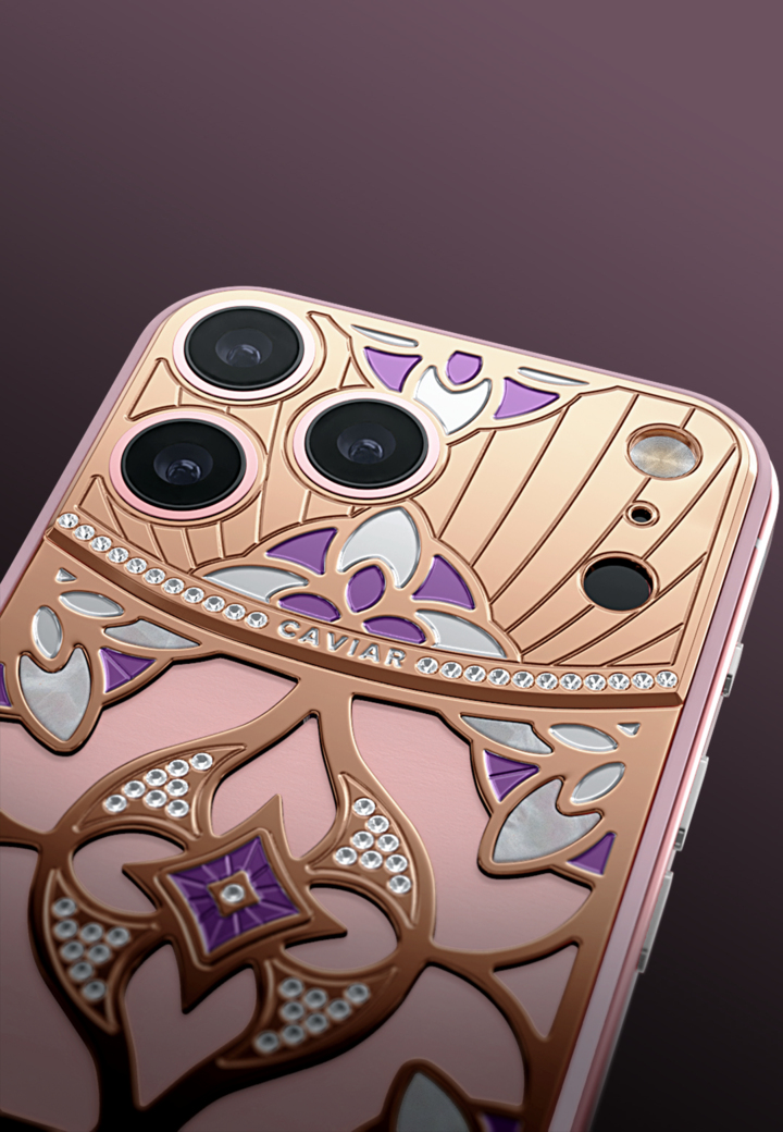 Camera Close-Up Pink Lotus