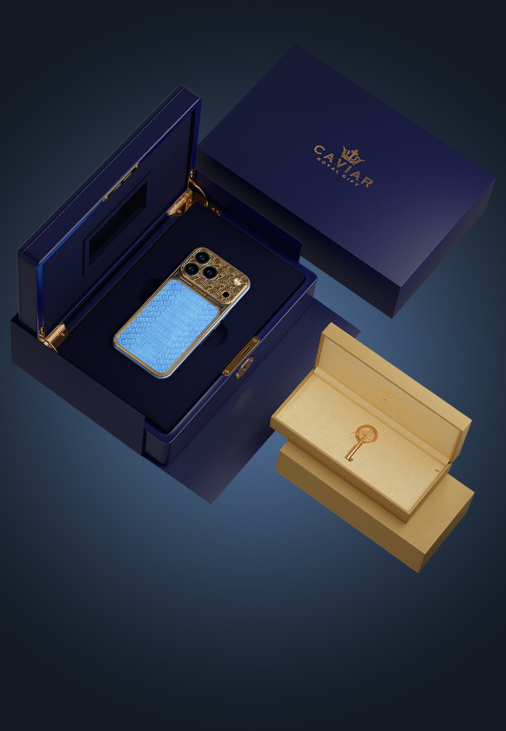 Packaging Pharaoh